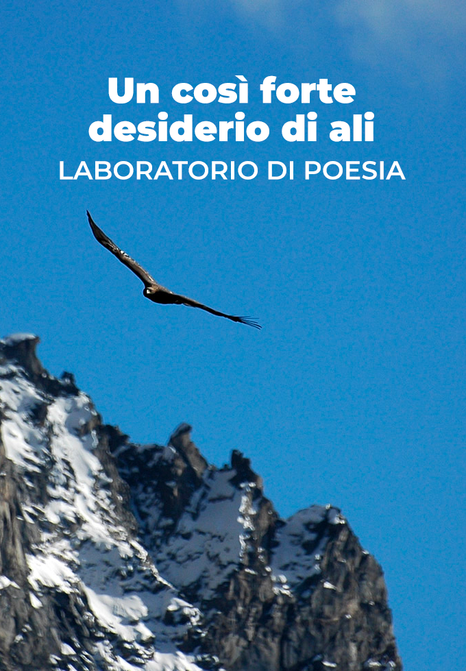 un cosi forte desiderio di ali laboratorio di poesia