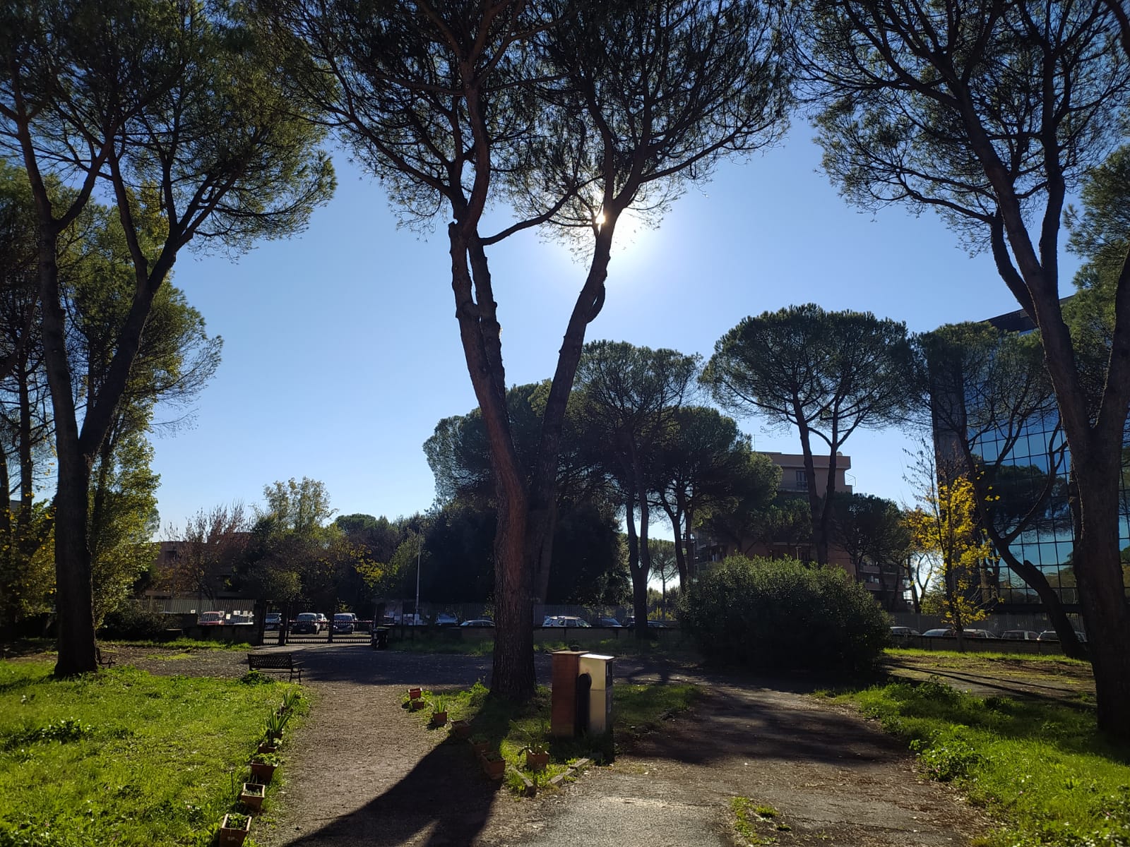 Liceo Orazio sede via Spegazzini