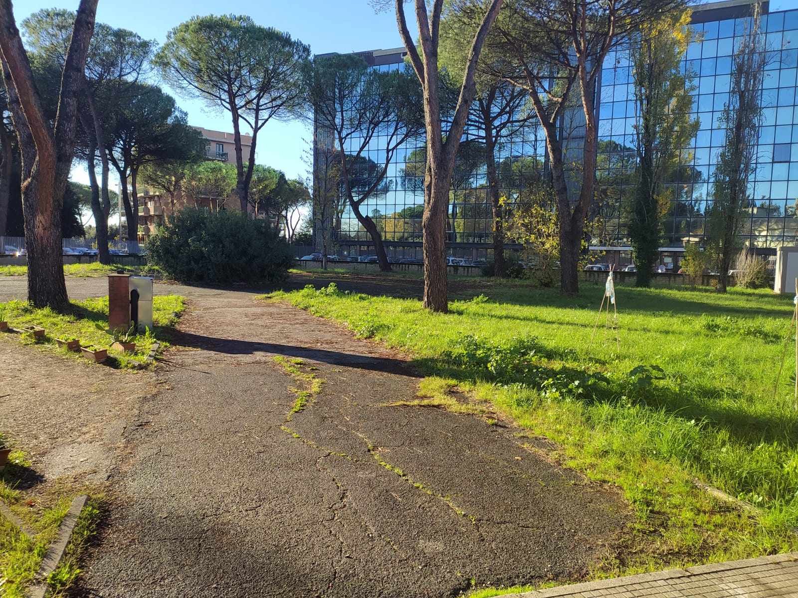 Liceo Orazio sede via Spegazzini