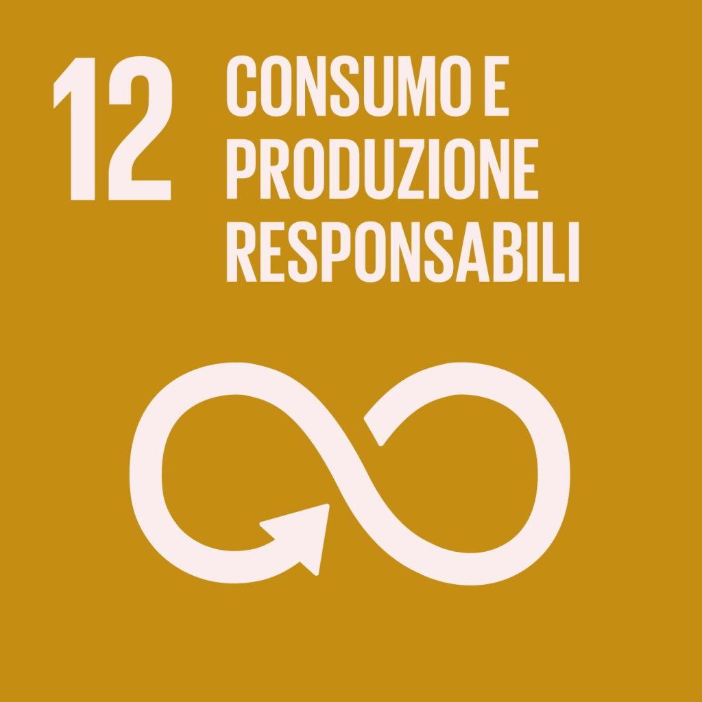 Agenda 2030 obiettivo 12 Consumo e produzione responsabili